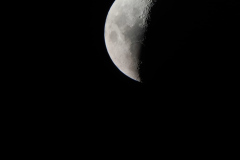 2025-3-06